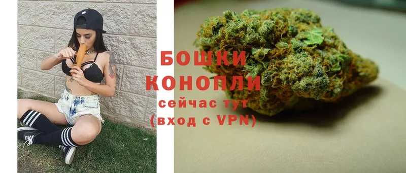 Бошки Шишки OG Kush  наркотики  Инсар 